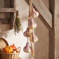 Knoblauch Deko zum Hängen Künstlich Gelb Lila L50cm | Floristik24.de