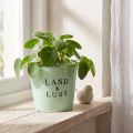 Blumentopf Mint Metall Übertopf Landhaus Ø17cm H15,5cm | Floristik24.de