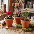 Blumentopf Ton Ø9cm hoch 8cm 10st | Floristik24.de