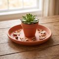 Untersetzer mediterran, Keramikschale Terrakotta Ø10,7cm | Floristik24.de