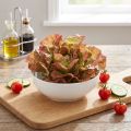 Künstlicher Salat Lollo Rosso