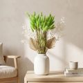 Samtgras Grün Lagurus getrocknet Trockendeko Süßgras 20-50cm 25g Trockenblumen Dekoration Boho | Floristik24.de