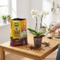 FRUX Erde  Orchideenerde (5 Ltr.) | Floristik24.de