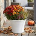 Plastik Topf „Irys“ Weiß Ø29cm H24cm 1 St | Floristik24.de