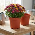 Pflanztopf Plastik Ø21cm 10St | Floristik24.de
