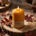 Stumpenkerze Wenzel Kerzen PURE Kerzen Stearin Honig 90x60mm | Floristik24.de