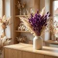 Samtgras Violett, Hasenschwanz-Gras, Lagurus L20-50cm 25g | Floristik24.de