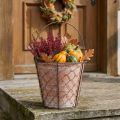 Keramik Blumentopf Korb Henkel Metall Braun Ø18cm | Floristik24.de