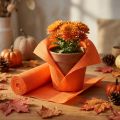 Floristen-Krepppapier Orange 50x250cm | Floristik24.de