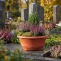 Pflanzschale aus Plastik Ø20cm Blumenschale Terrakotta 5St | Floristik24.de