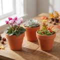 Blumentopf Ton Ø6cm hoch 5cm 10St | Floristik24.de