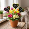 Stecker Herz mit Schrift "Alles Gute" 16 St sort. | Floristik24.de