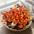 Beerenbund Orange L20cm | Floristik24.de