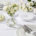 Dekoband Deko Spitze Schmuckband Hochzeit B16mm L20m | Floristik24.de