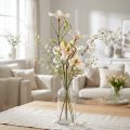 Magnolie Pfirsich 85cm | Floristik24.de