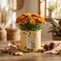 Deko Dose Sommer Apricot Metalldose Pflanztopf Ø8cm H7,5cm | Floristik24.de