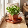 Untersetzer Lara eckig 29cm x 29cm Terrakotta 1 St | Floristik24.de