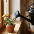 Gießkannenbrause Schwarz 5l | Floristik24.de