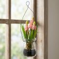 Traubenhyazinthe künstlich Rosa im Glas 16cm | Floristik24.de