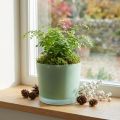 Glas Blumentopf Grün Übertopf Glaskübel Ø14,5cm H12,5cm | Floristik24.de