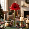 Künstliche Amaryllis Weihnachtsblumen Rot Kunstblumen L40cm | Floristik24.de