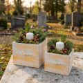 Pflanzschublade mit Griff Orange Weiß Holz 12/15cm 2er-Set | Floristik24.de