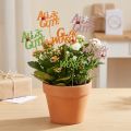 Glückwunsch Blumenstecker Pflanzenstecker Holz 8cm 6 St | Floristik24.de