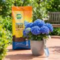Frux Hortensienerde für blaue Hortensien Spezialerde 18l | Floristik24.de