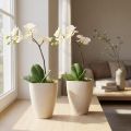 Orchideentopf Blumentopf Plastik Beige Meliert 13,5x13cm H16,5cm 2St | Floristik24.de