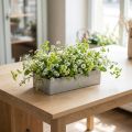 Schale eckig Grau 20cm x 10,5cm H5cm | Floristik24.de