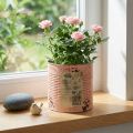 Blumentopf Deko Dose Lachs Metall Pflanzeimer Ø15,5cm H15cm | Floristik24.de