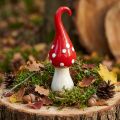 Deko Fliegenpilz Keramik Deko Pilz Rot Weiß Ø6,5cm H21cm | Floristik24.de