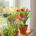 Frühlingsdeko Blumenstecker Holz Vogel Deko 28cm 18 St | Floristik24.de