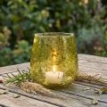 Windlicht Glas Deko Vintage Gelbgrün Ø12cm H12,5cm | Floristik24.de