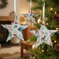Weihnachtsschmuck Stern Hirsch Nadelzweige Beeren Ø8cm 6er Set Dekohänger Christbaumschmuck | Floristik24.de
