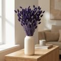 Phalaris Violett Getrocknetes Deko Gras 50-55cm 100g | Floristik24.de