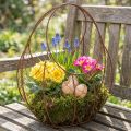 Drahtkorb, Pflanzgefäß aus Metall, Frühlingsdeko, Osterkorb Braun, Edelrost H34cm L30cm | Floristik24.de