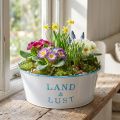 Blumenschale rund Pflanztopf Weiß Übertopf Metall 25×10cm | Floristik24.de