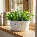 Blumenschale oval Pflanztopf Metall Weiß, Blau 26×17×12cm | Floristik24.de