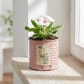 Blumentopf Deko-Dose rund Altrosa Metall Pflanzdose Ø8cm H7,5cm | Floristik24.de
