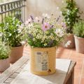 Deko Dose Apricot Pflanztopf Metall Sommerdeko Ø15,5cm H15cm | Floristik24.de