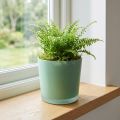 Glas Blumentopf Grün Übertopf Glaskübel Ø11,5cm H11cm | Floristik24.de