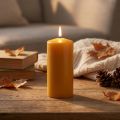 PURE Stumpenkerze Gelb Honig Wenzel Kerzen 130/60mm | Floristik24.de