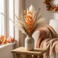 Lagurus Getrocknet Hasenschwanzgras Apricot Deko-Trockenblumen 55-60cm 50g | Floristik24.de