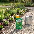 Roundup Unkrautfrei Total Konzentrat Ohne Glyphosat 500ml | Floristik24.de