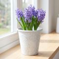 Pflanztopf mit Ornamenten, Übertopf, Metallgefäß Weiß Ø15,5cm H14,5cm | Floristik24.de