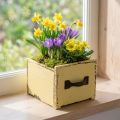 Pflanzschublade Holz Deko Pflanzkasten Gelb 12,5cm | Floristik24.de