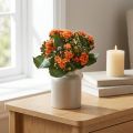 Flammendes Käthchen Kalanchoe künstlich Orange 24cm | Floristik24.de