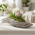 Pflanzschale Welle Rattan Natur Weiß 40x14x6cm | Floristik24.de