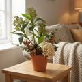 Kunstblumen Grün Skimmia japonica Skimmie 45cm 2St | Floristik24.de